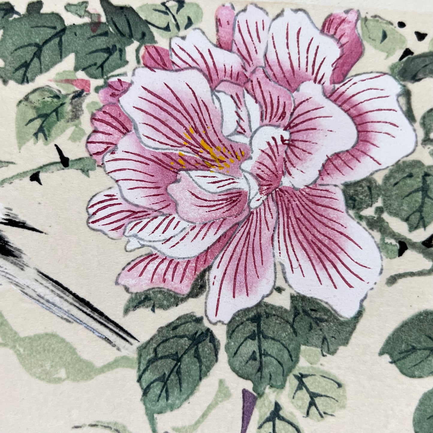 estampe japonaise oiseau sur une branche de rosier en fleur Imao Keinen, une rose rose et blanche