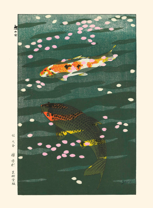 deux carpes koi vu de dessus sous l'eau parsemée de pétales de fleurs de cerisier, estampe japonaise chez uchiwa Gallery