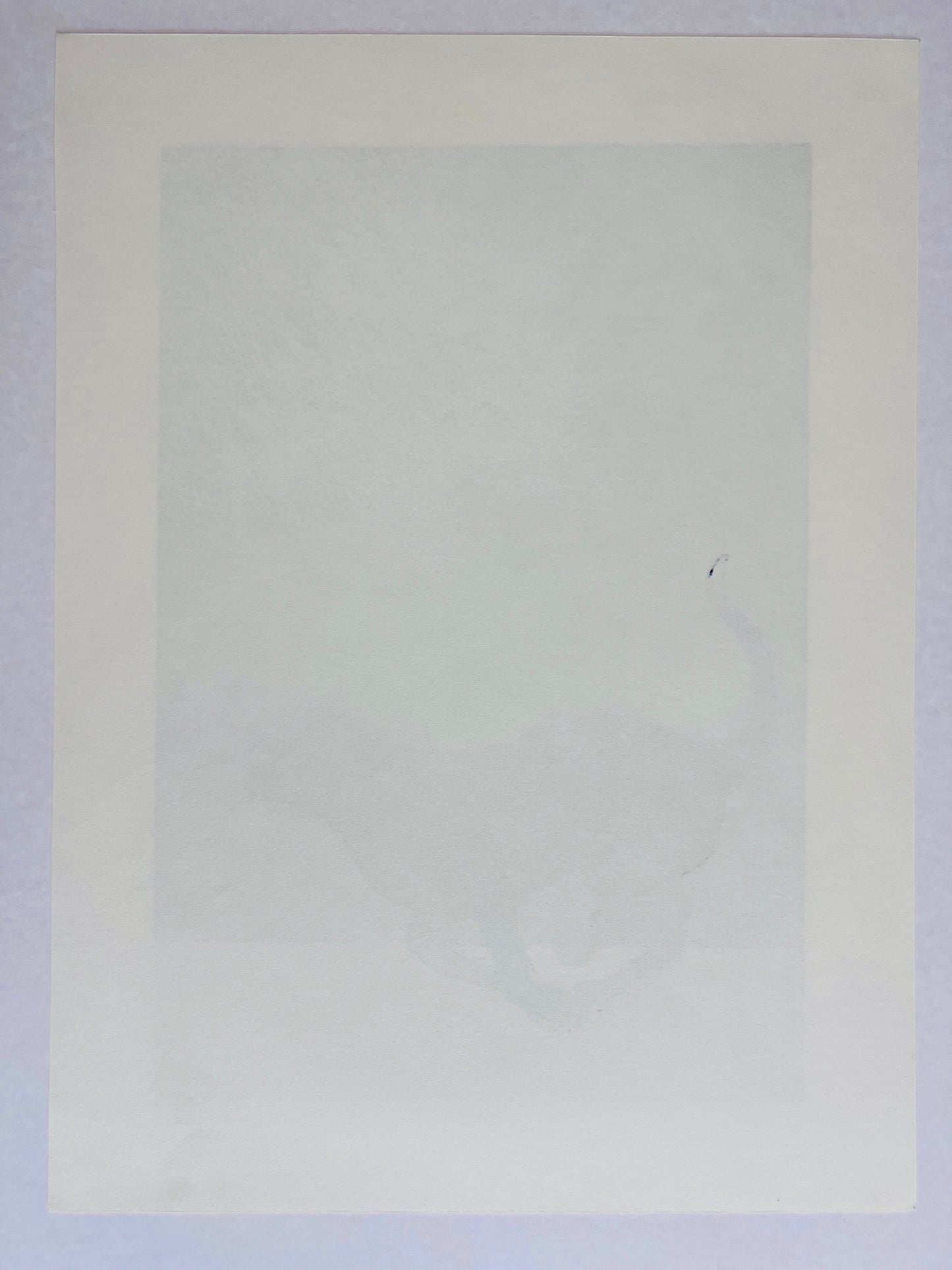 estampe japonaise chat noir courant, fond vert céladon, de Nishida Tadashige, dos de l'estampe