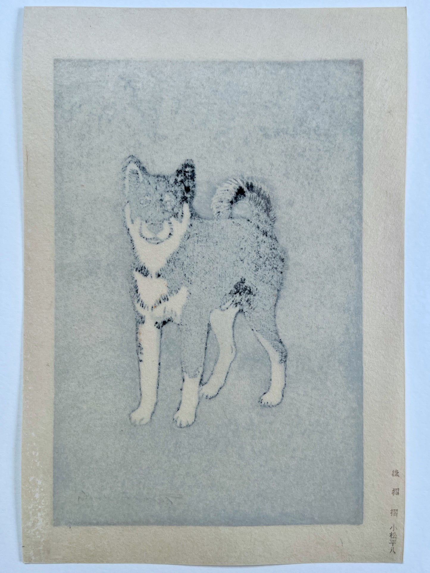 estampe japonaise chien de chiba de dos