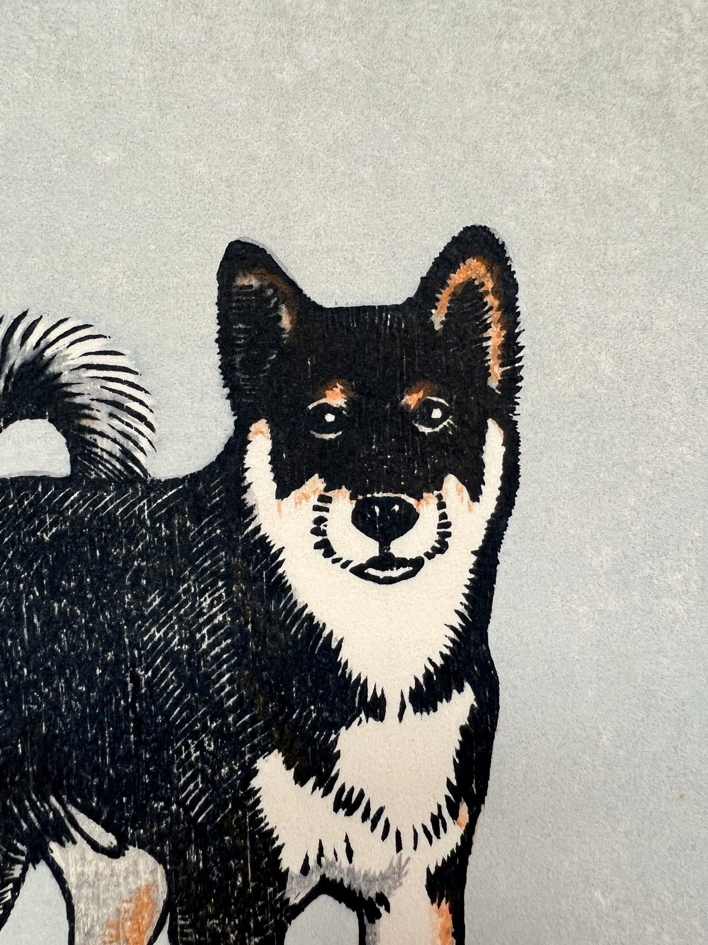 estampe japonaise chien de chiba, tête du chien