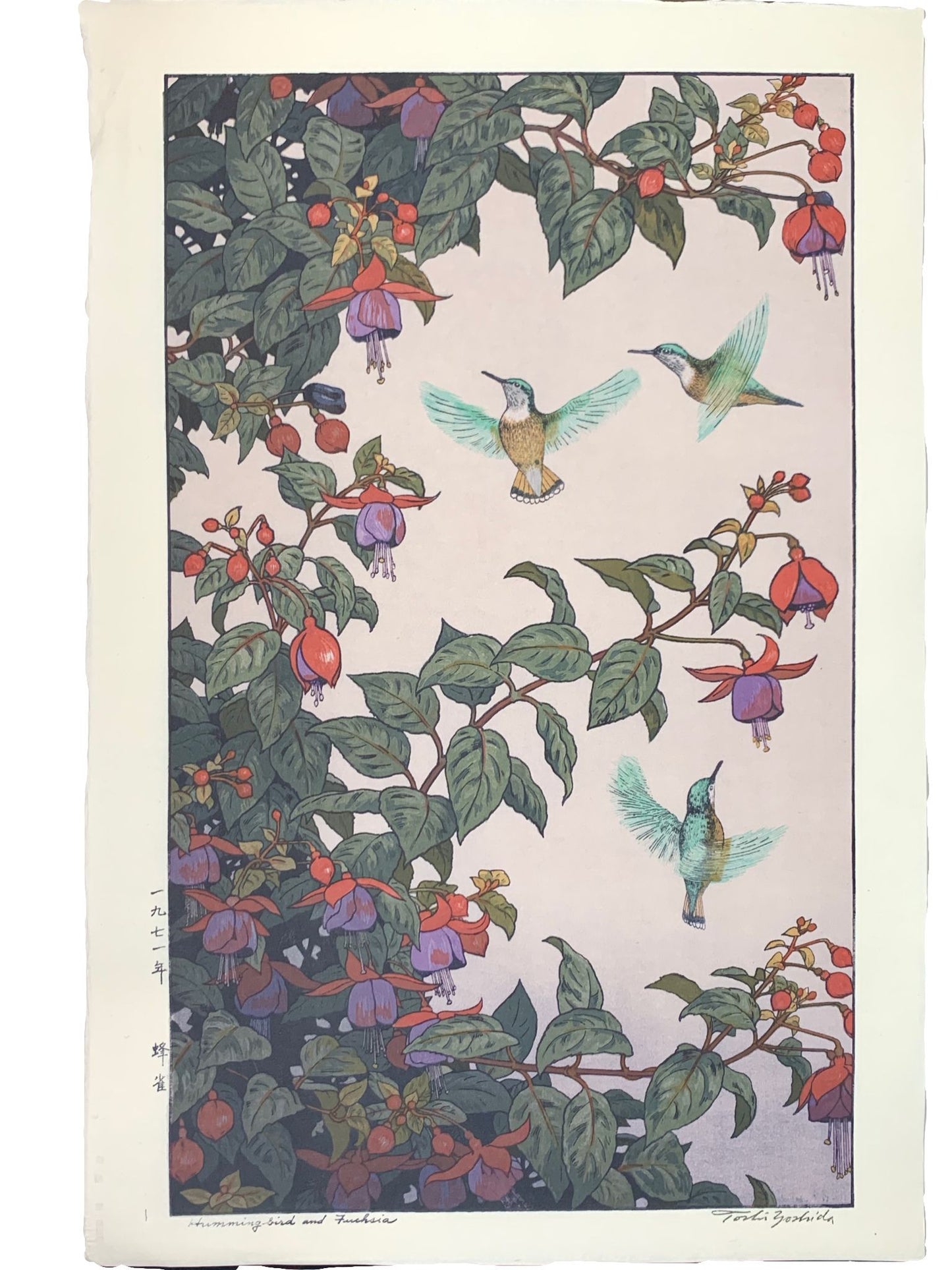 Estampe Japonaise deux Colibris volent au dessus d'un Fushia en fleurs