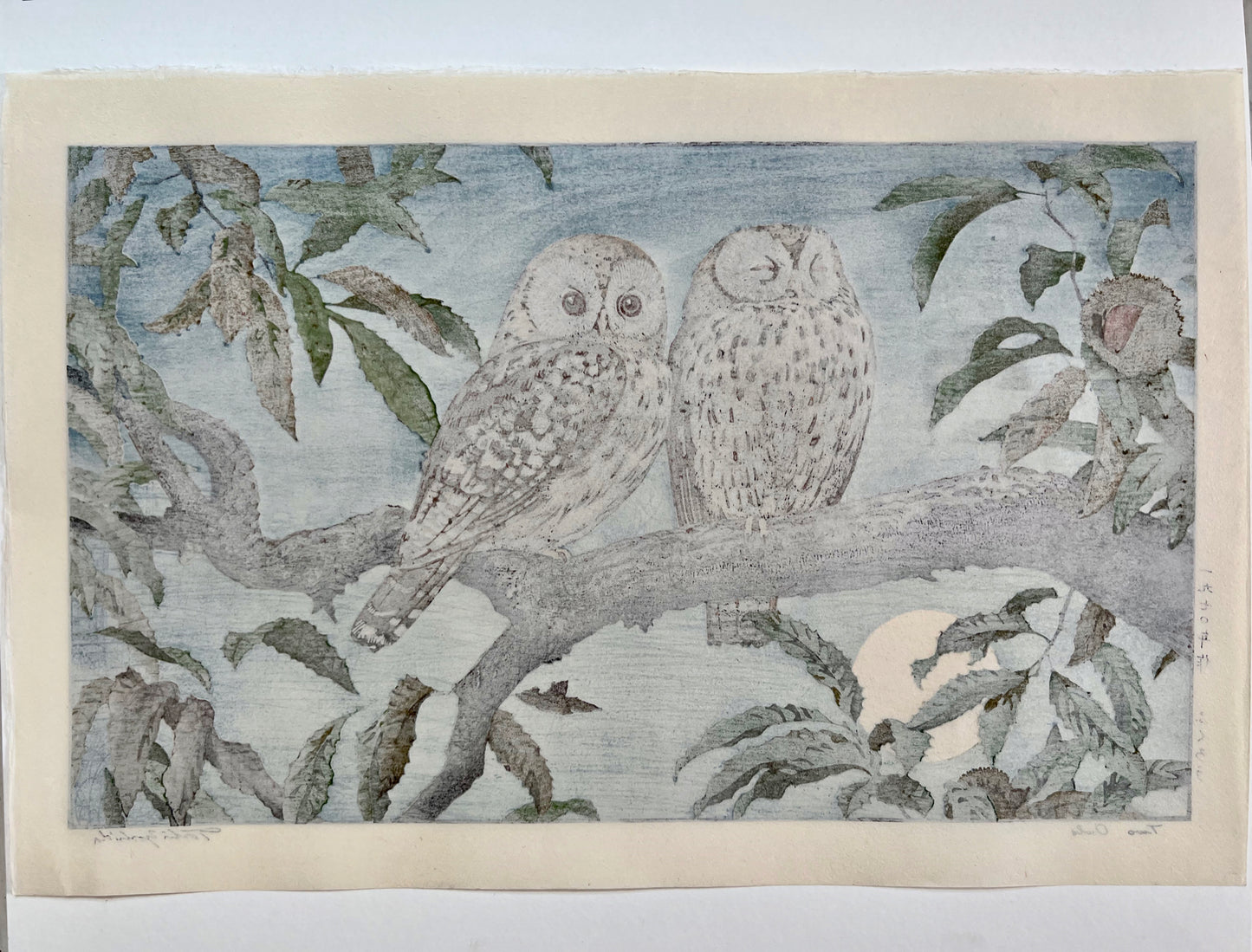 estampe japonaise oiseau hiboux sur branche pleine lune, dos de l'estampe