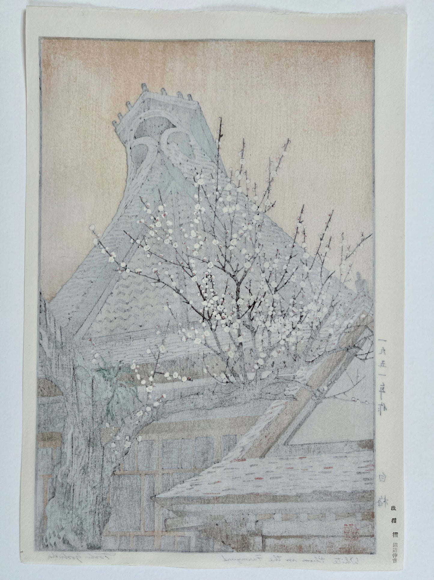 estampe japonaise prunier en fleurs au printemps devant un temple, dos de l'estampe