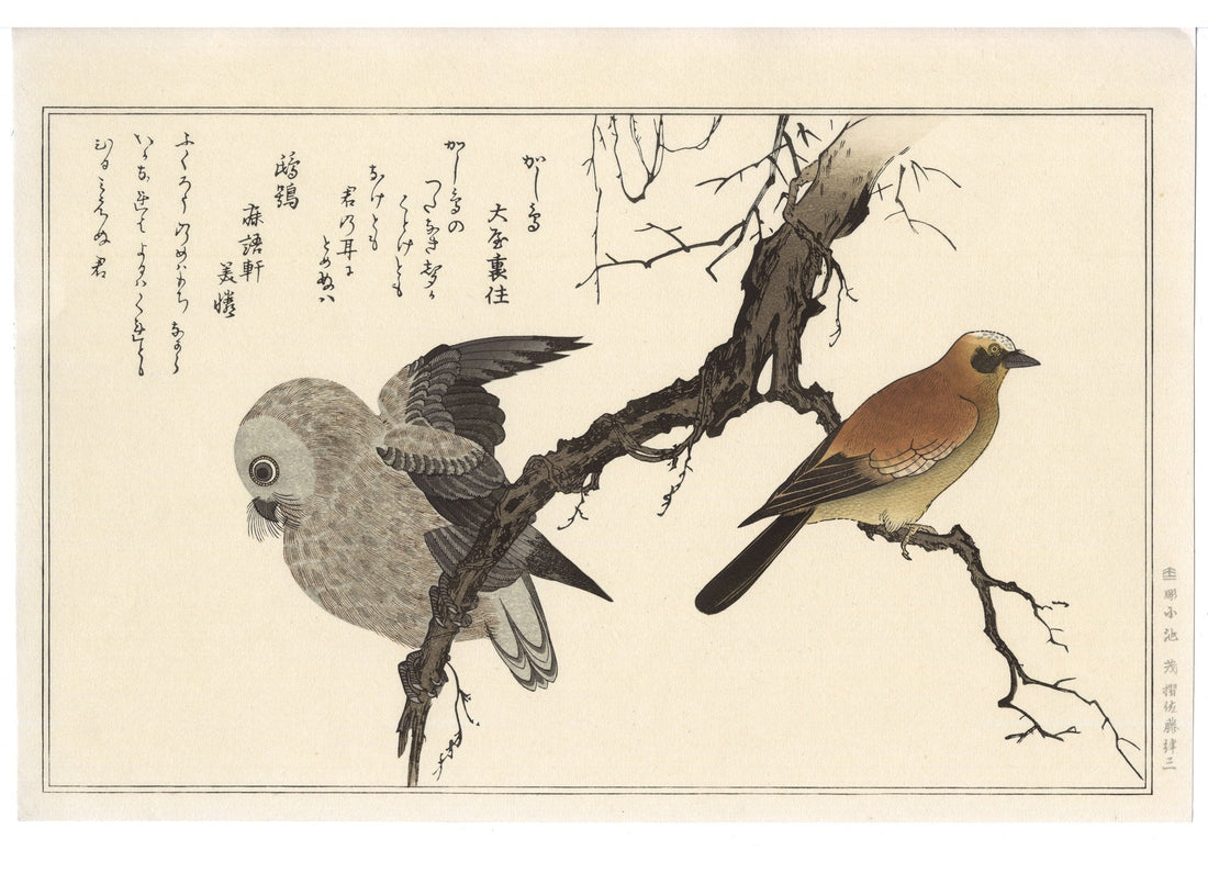 Les kacho-ga ou les estampes de fleurs et d'oiseaux