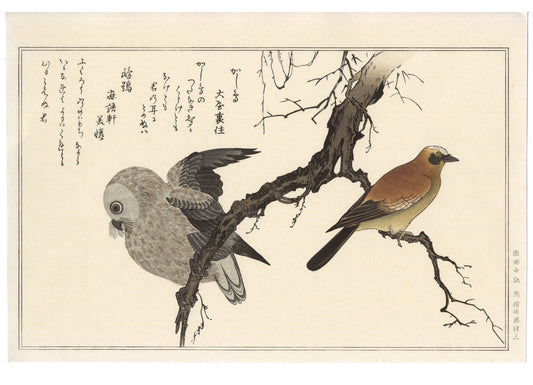 Les kacho-ga ou les estampes de fleurs et d'oiseaux