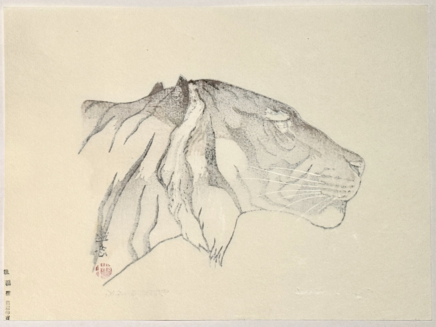 estampe japonaise de Tohi Yoshida tete de tigre de profil, verso