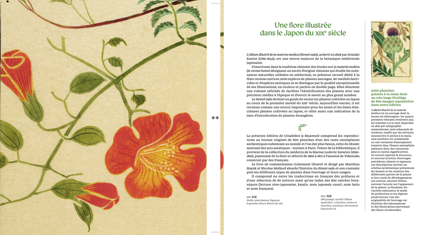 Honzo Zufu coffret ed. libraires présentation