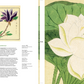 Honzo Zufu coffret ed. libraires directeurs de publication