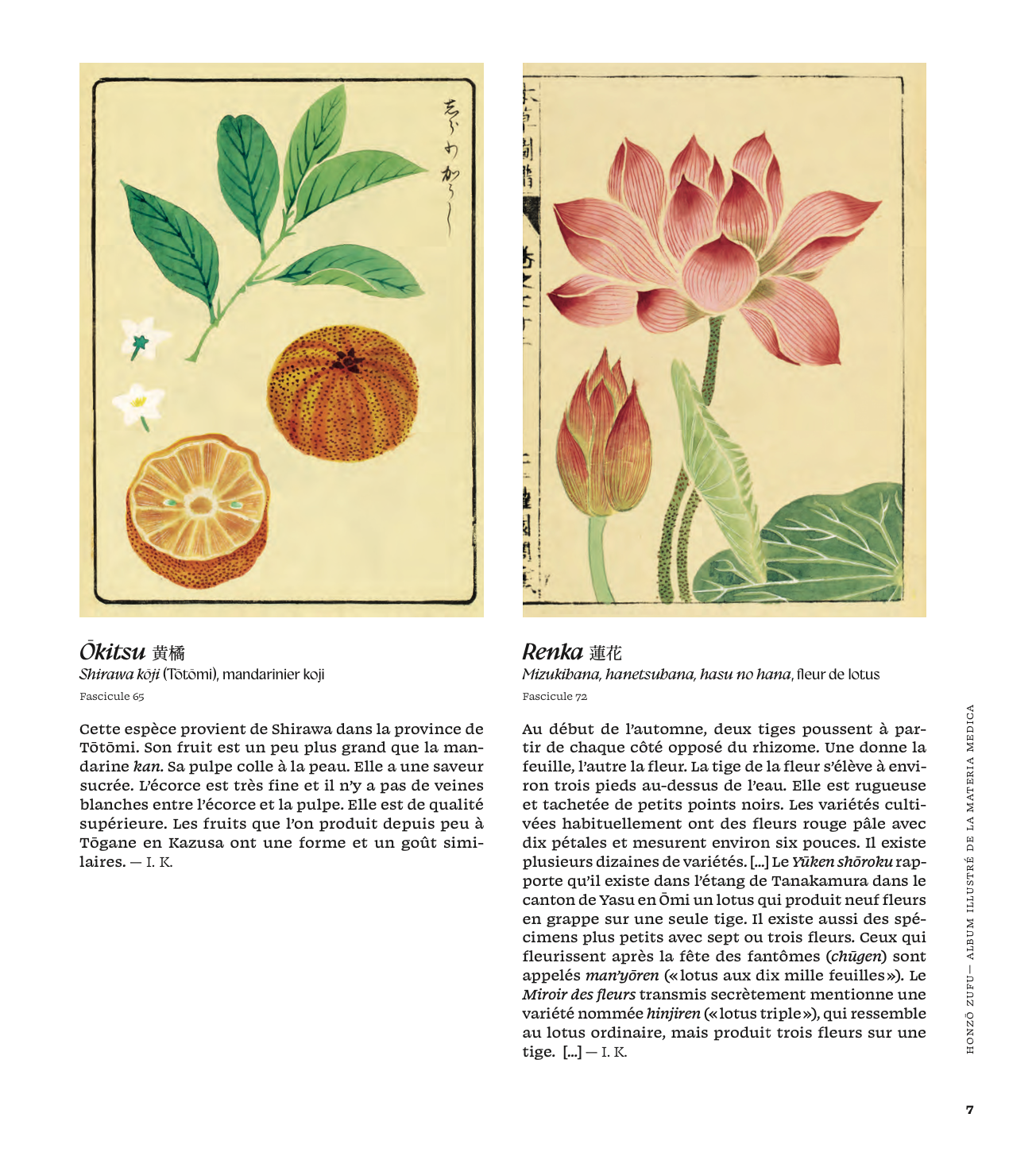 Honzo Zufu coffret ed. libraires page 7