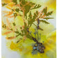 oeuvre original akira inumaru anthemis tinctoria