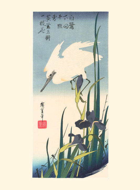 estampe japonaise de Hiroshige, héron blanc et iris, en reproduction Fine Art