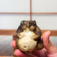 Figurine japonaise en céramique représentant un tanuki assis avec ventre arrondi, émail brun et crème, tenue en main