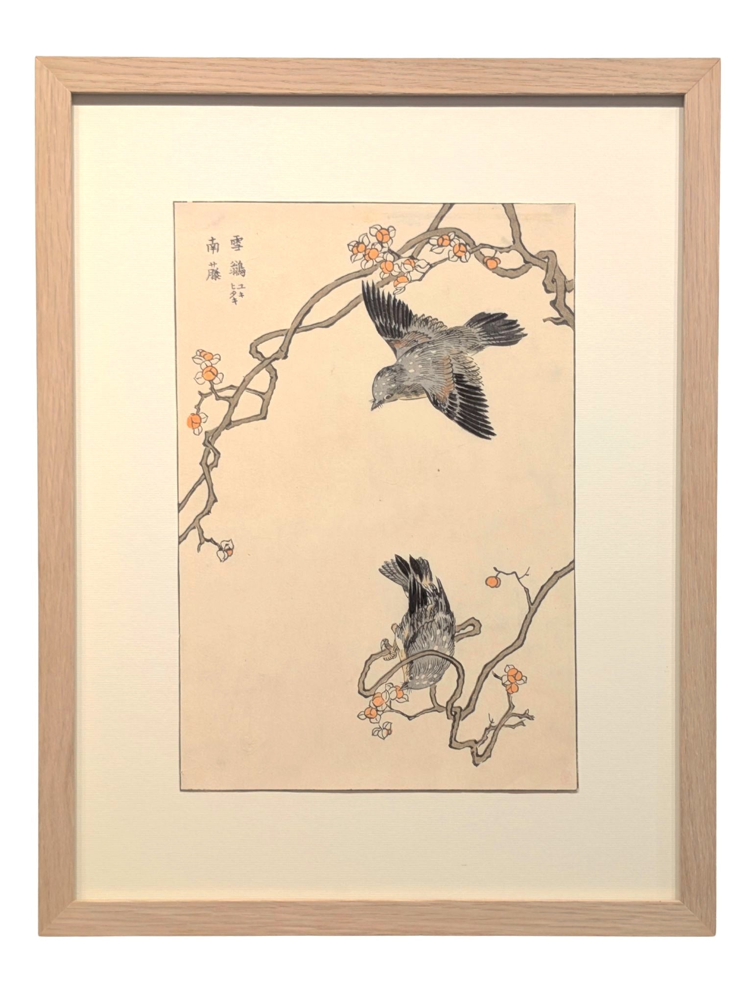 Deux merles à plastron, appelés Yukikake-suzume au Japon, se trouvent parmi des branches fleuries aux formes tortueuses, dans une estampe japonaise encadrée de Bunrei Maekawa, avec cadre en chêne