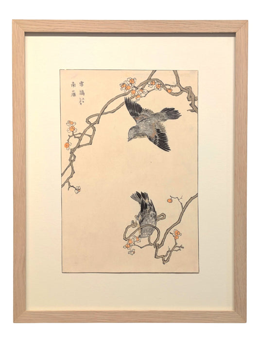 Deux merles à plastron, appelés Yukikake-suzume au Japon, se trouvent parmi des branches fleuries aux formes tortueuses, dans une estampe japonaise encadrée de Bunrei Maekawa, avec cadre en chêne