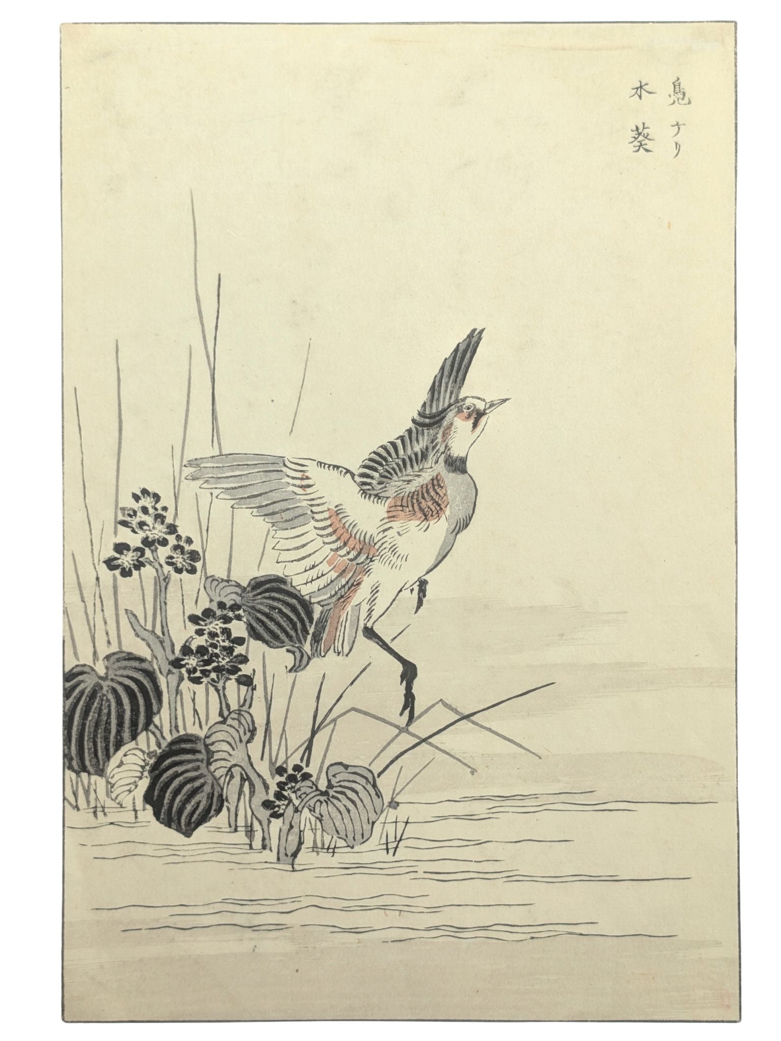 Estampe japonaise de Bunrei Maekawa montrant un vanneau huppé en vol près de plantes aquatiques
