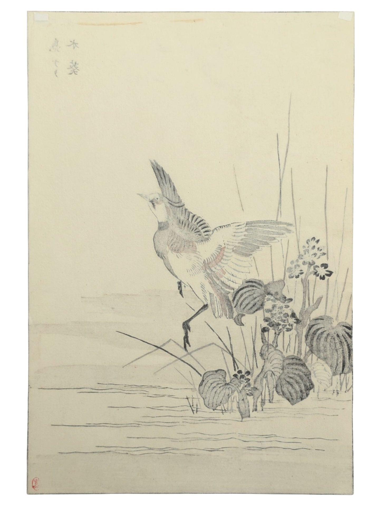 Estampe japonaise de Maekawa Bunrei montrant un vanneau huppé en vol près de plantes aquatiques verso