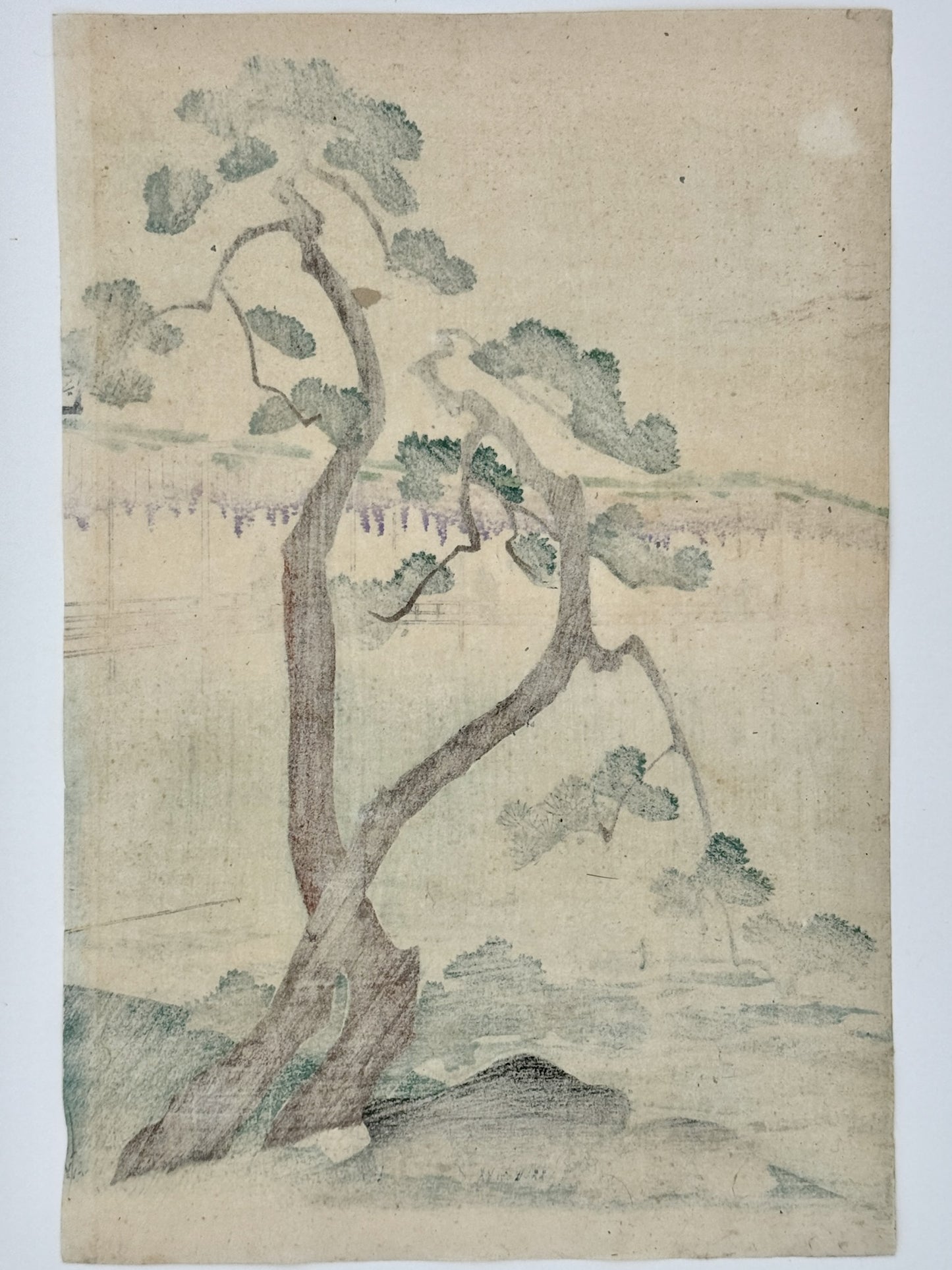estampe japonaise en triptyque, deux seigneurs pêchant au bord d'un lac, pin et glycines en fleurs, les pins maritimes, partie centrale, dos estampe