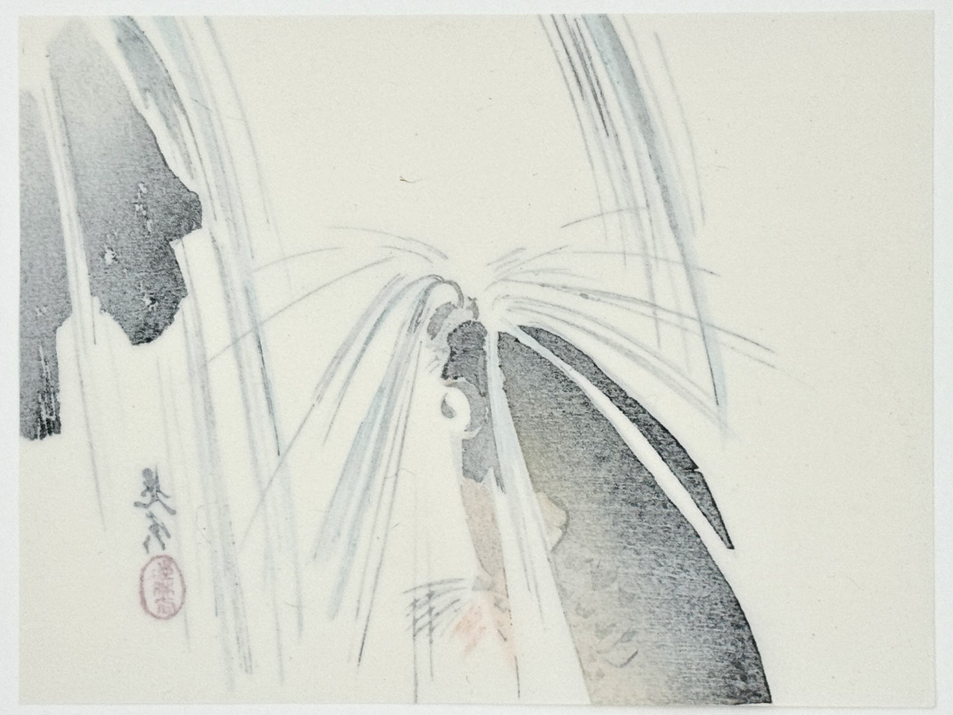 Estampe japonaise de Shibata Zeshin représentant une carpe remontant une cascade, le verso