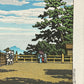 estampe japonaise de Kawase Hasui, le sanctuaire Konpira dans la province de Sanuki, détail du sceau de l'éditeur Watanabe et du sceau de l'imprimeur