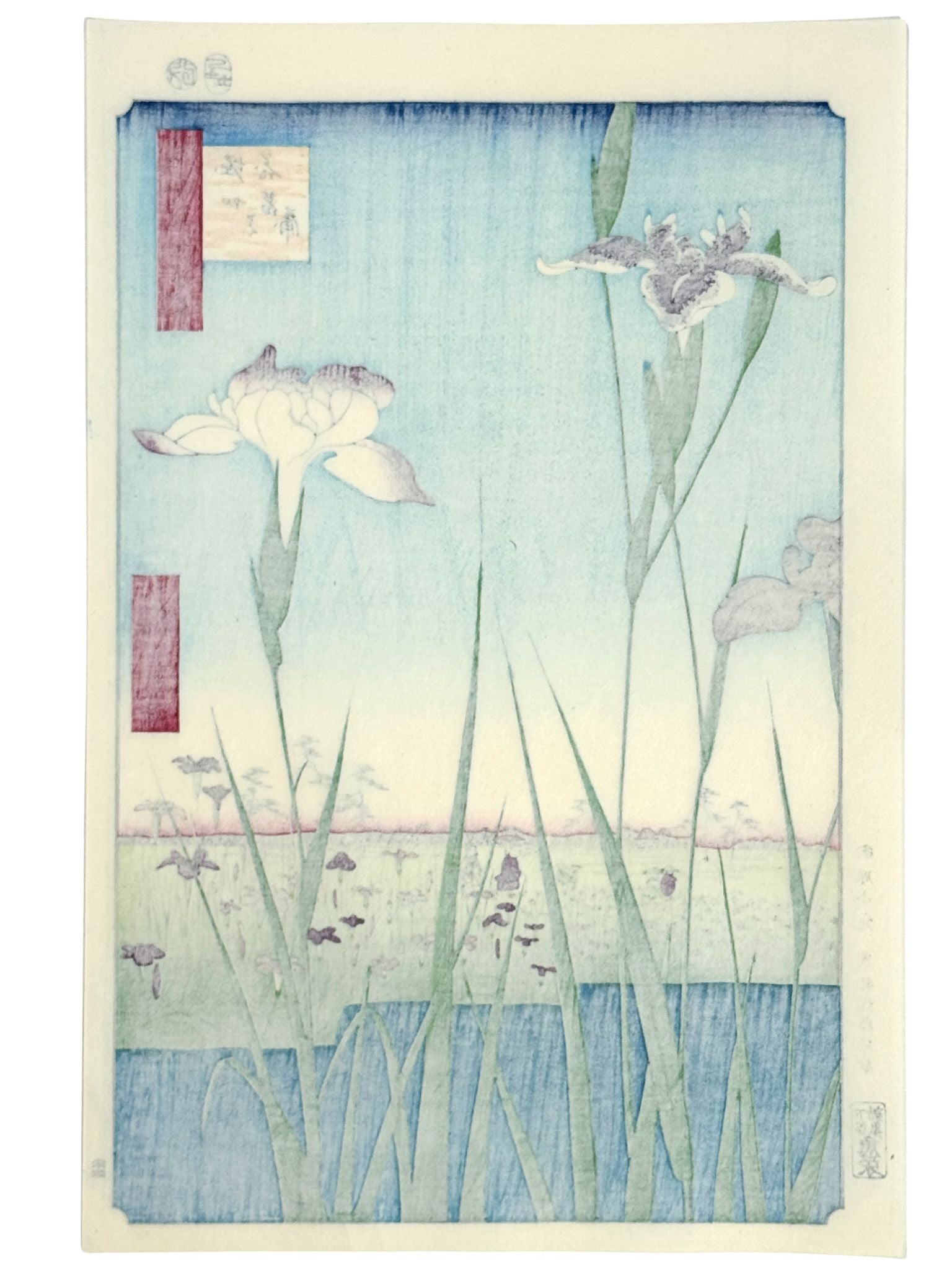 Estampe Japonaise d’Utagawa Hiroshige représentant deux grands iris au premier plan et un vaste jardin fleuri en arrière-plan, le verso de l'estampe