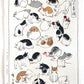 Estampe Japonaise de Hiroshige, Postures de Chats