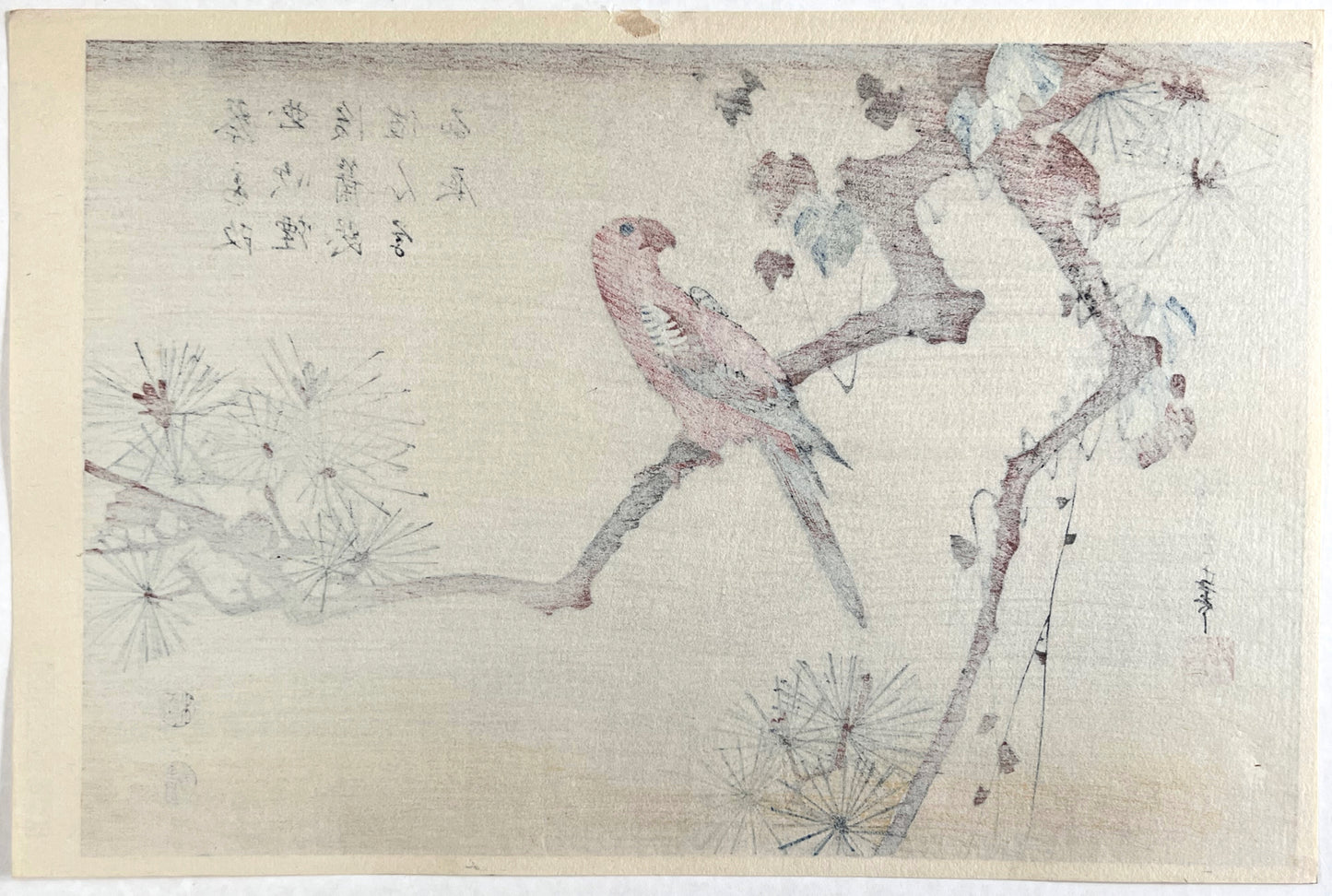 Estampe Japonaise de Hiroshige | Perruche sur une branche de pin dos de l'estampe