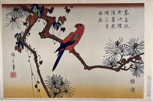 Estampe Japonaise de Hiroshige | Perruche sur une branche de pin automne 
