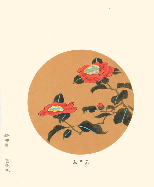 Estampe Japonaise d'un camélia en fleur, rouge, dans un rond