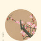 Estampe Japonaise d'une branche de cerisier en fleur rose dans un rond