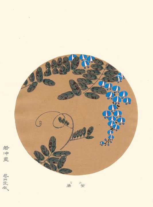 Estampe Japonaise d'une glycine bleue dans un rond