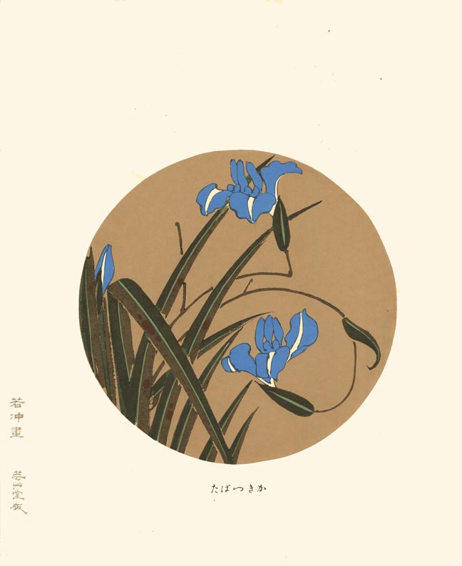 Estampe Japonaise d'une iris bleu dans un rond