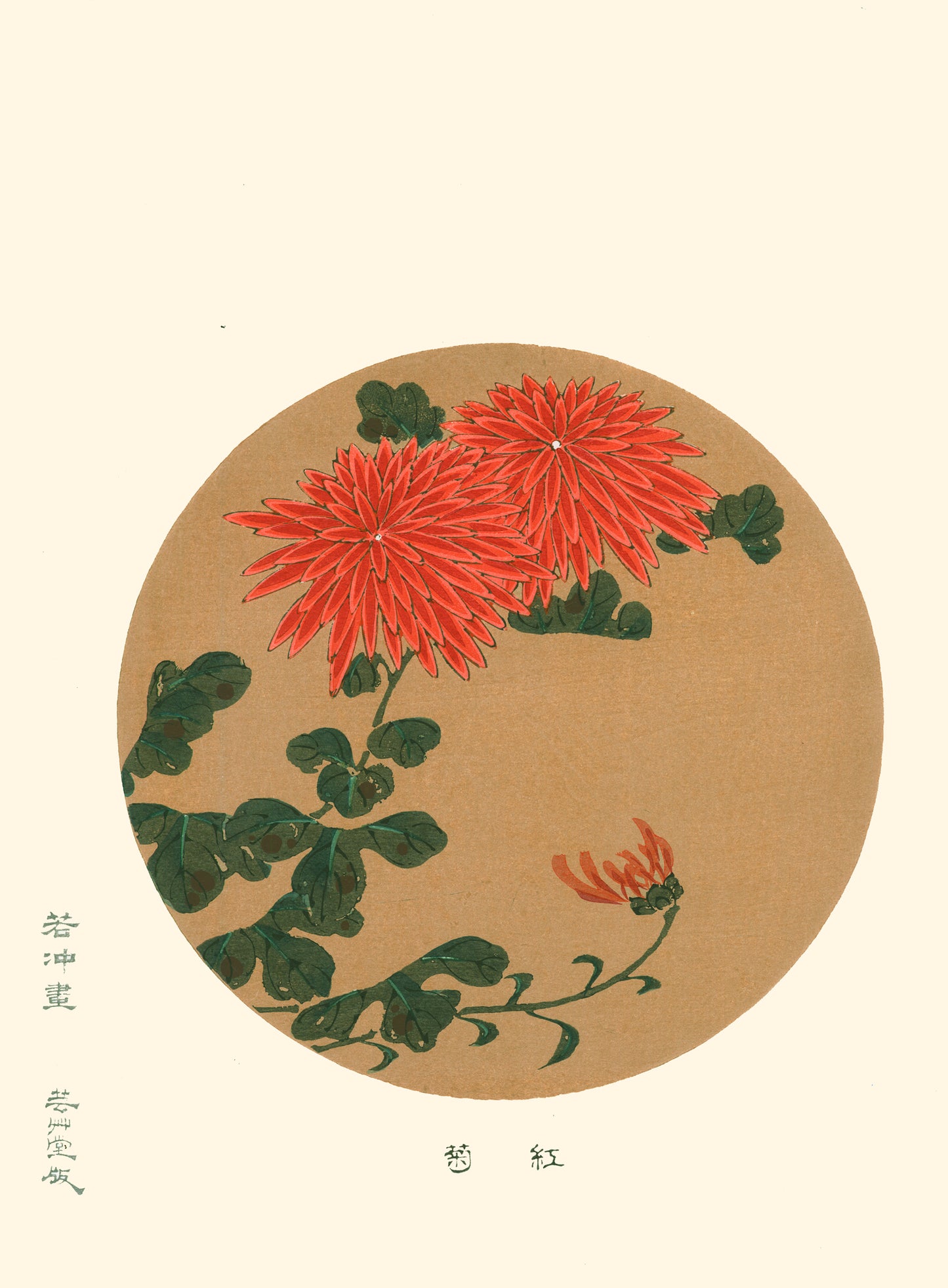 Chrysanthèmes Rouges de Jakuchu Ito | Reproduction Fine Art