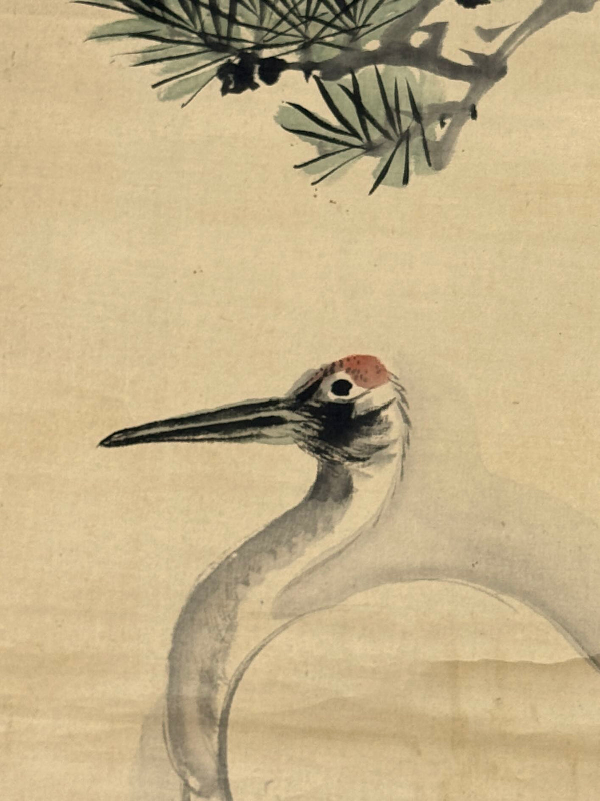 Kakejiku ancien d’Ueda Kōho représentant une grue sous un pin, gros plan sur le tête de l'aoiseau