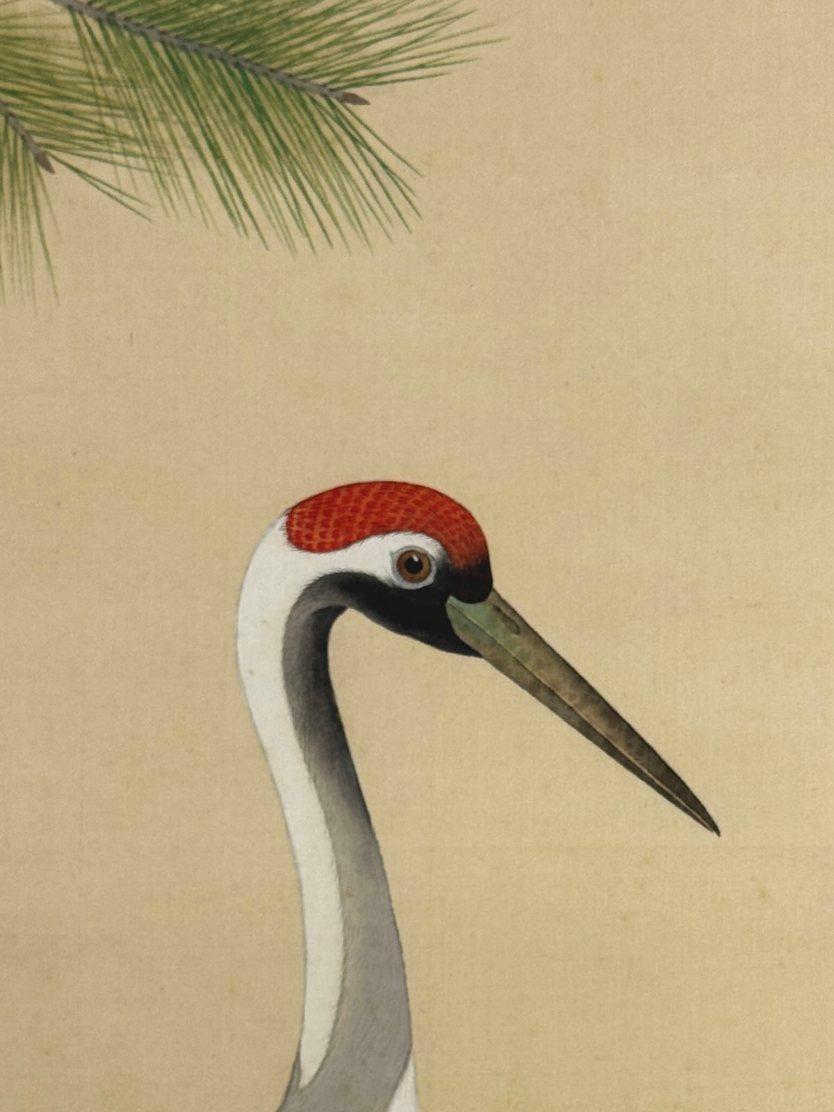 Kakejiku de Yokoyama Daigen représentant deux grues sous un pin, gros plan sur la tête e l'oiseau