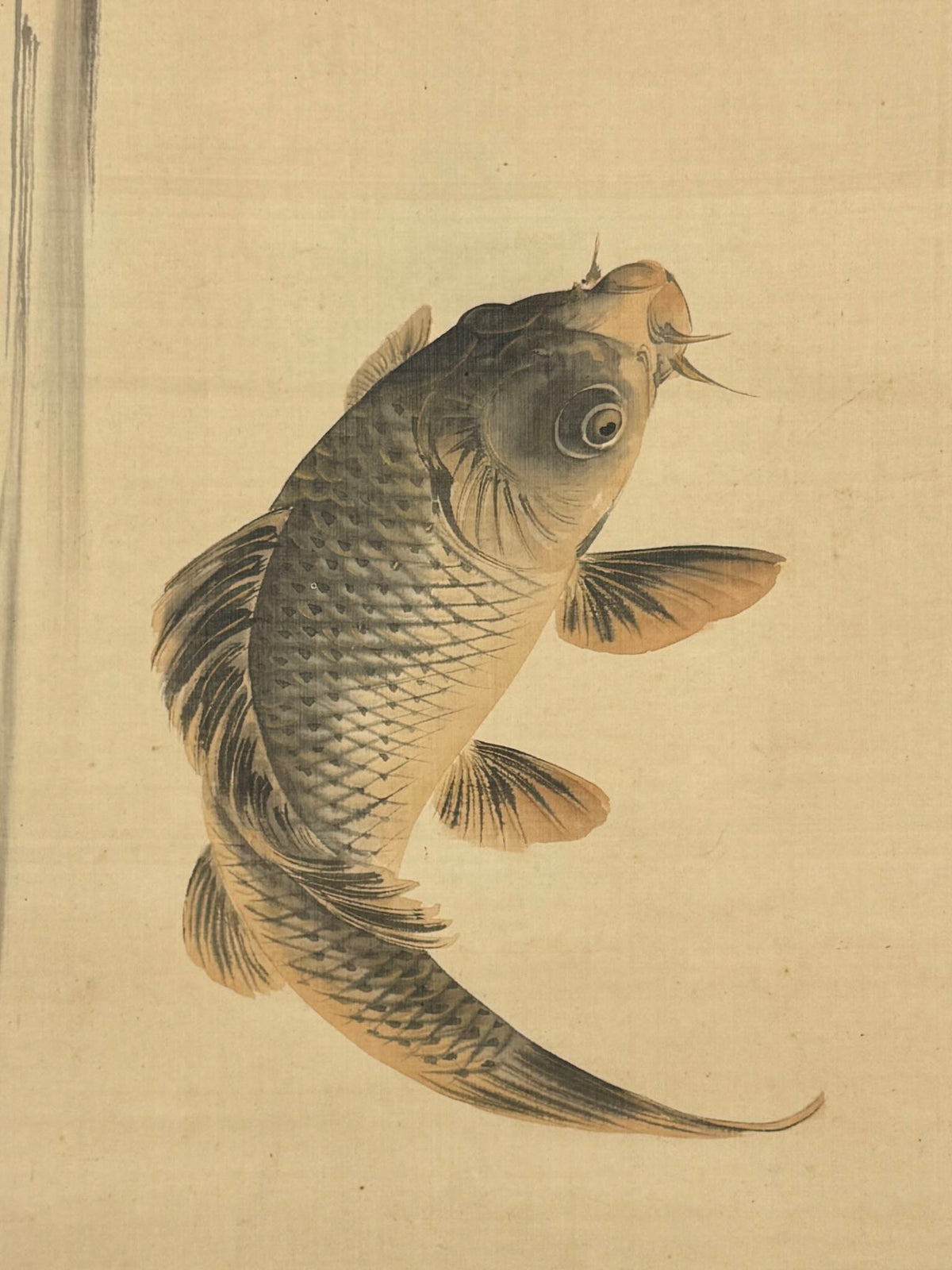 Kakejiku ancien de Kajiyama Kyūkō – Carpe remontant la cascade