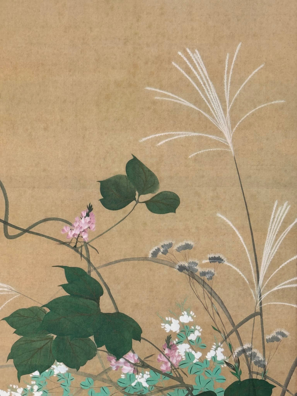 Kakejiku Nanakusa-zu aux sept herbes d’automne d’après Sakai Hōitsu, gros plan sur les fleurs