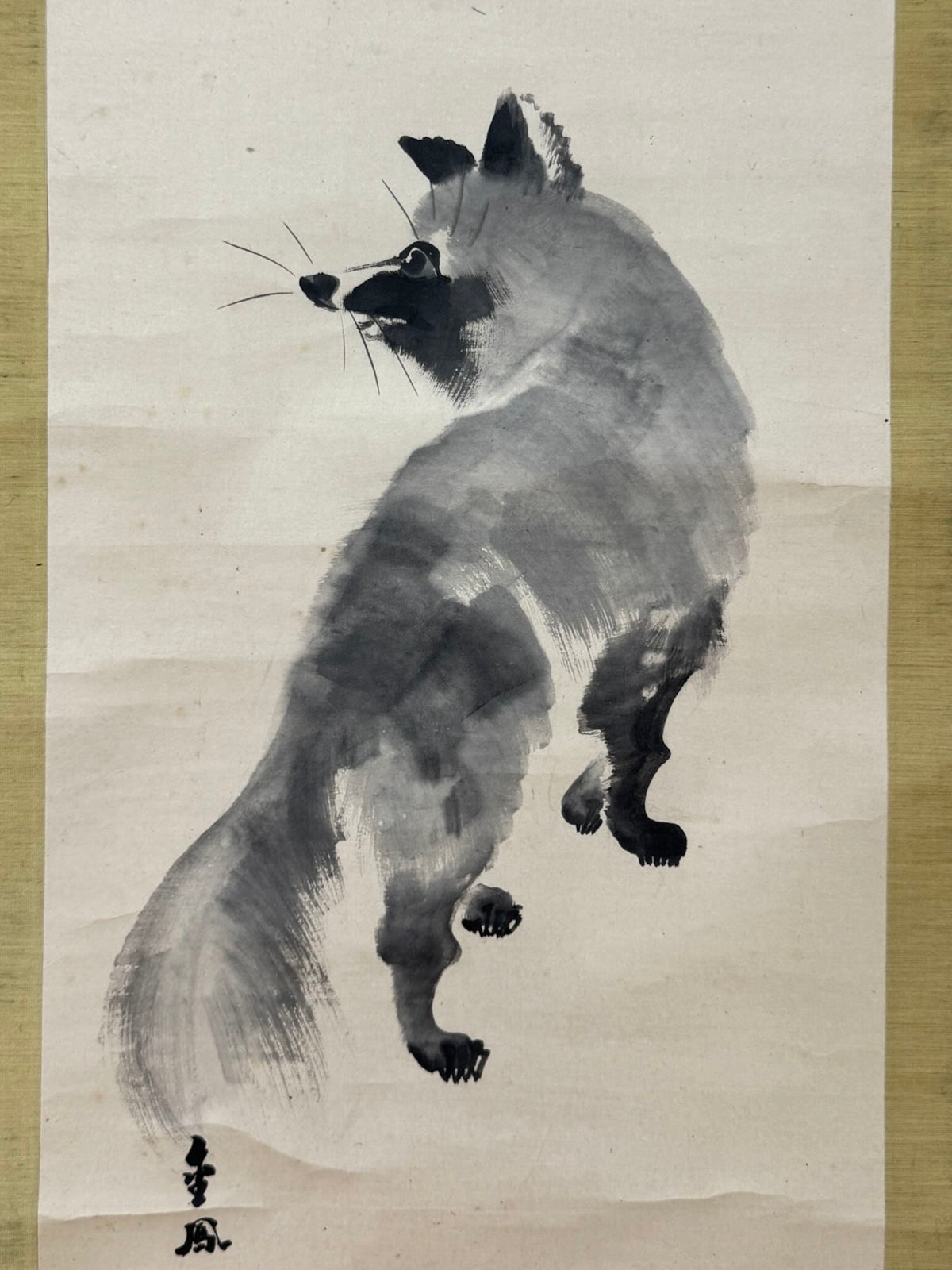 akejiku de Mochizuki Kinpō représentant un tanuki sous la lune, gros plan sur l'animal