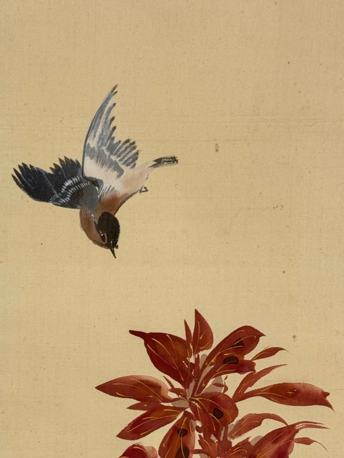 Kakejiku de Hirafuku Hyakusui avec oiseau et feuillages d’automne, gros plan sur l'oiseau