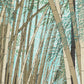 estampe japonaise de teruhide kato un chemin dans la foret de bambous géants a arashiyama, les feuilles de bambous