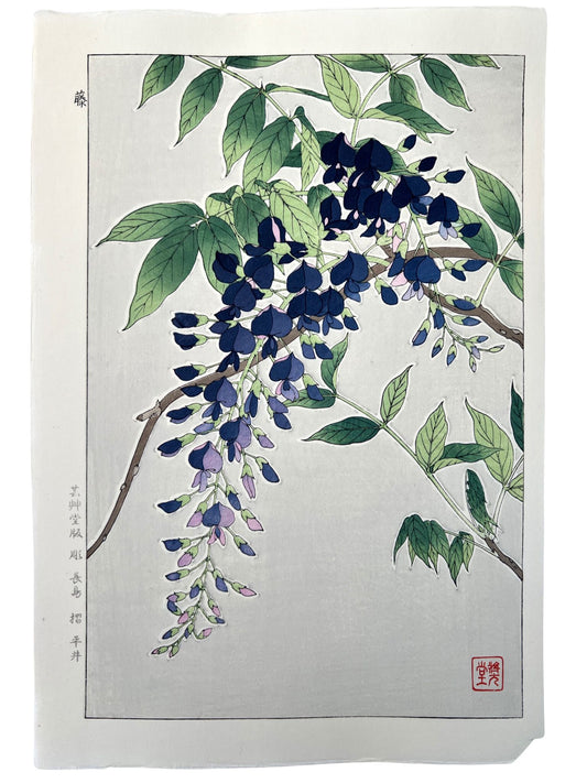 Estampe Japonaise de Kawarazaki Shodo | Glycine