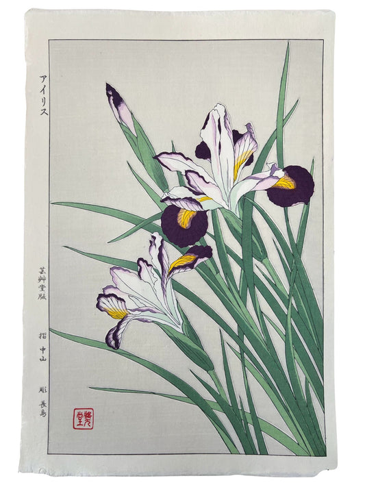 Estampe Japonaise de Kawarazaki Shodo | Iris