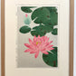 estampe japonaise fleur nymphea rose encadrée avec cadre en chêne