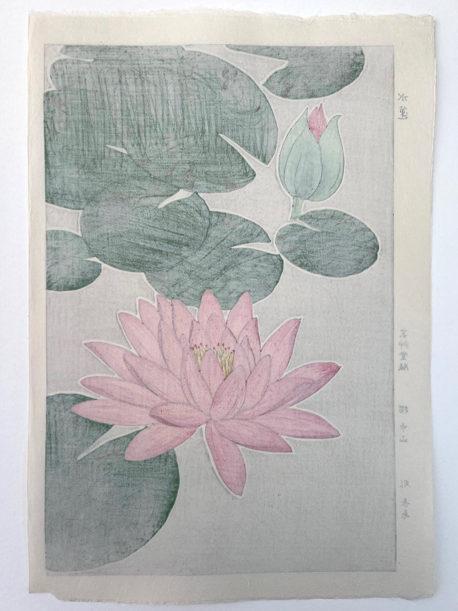 Estampe Japonaise de Kawarazaki, Nymphea dos de l'estampe