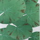 Estampe Japonaise de Kawarazaki, Nymphea feuilles larges et vertes