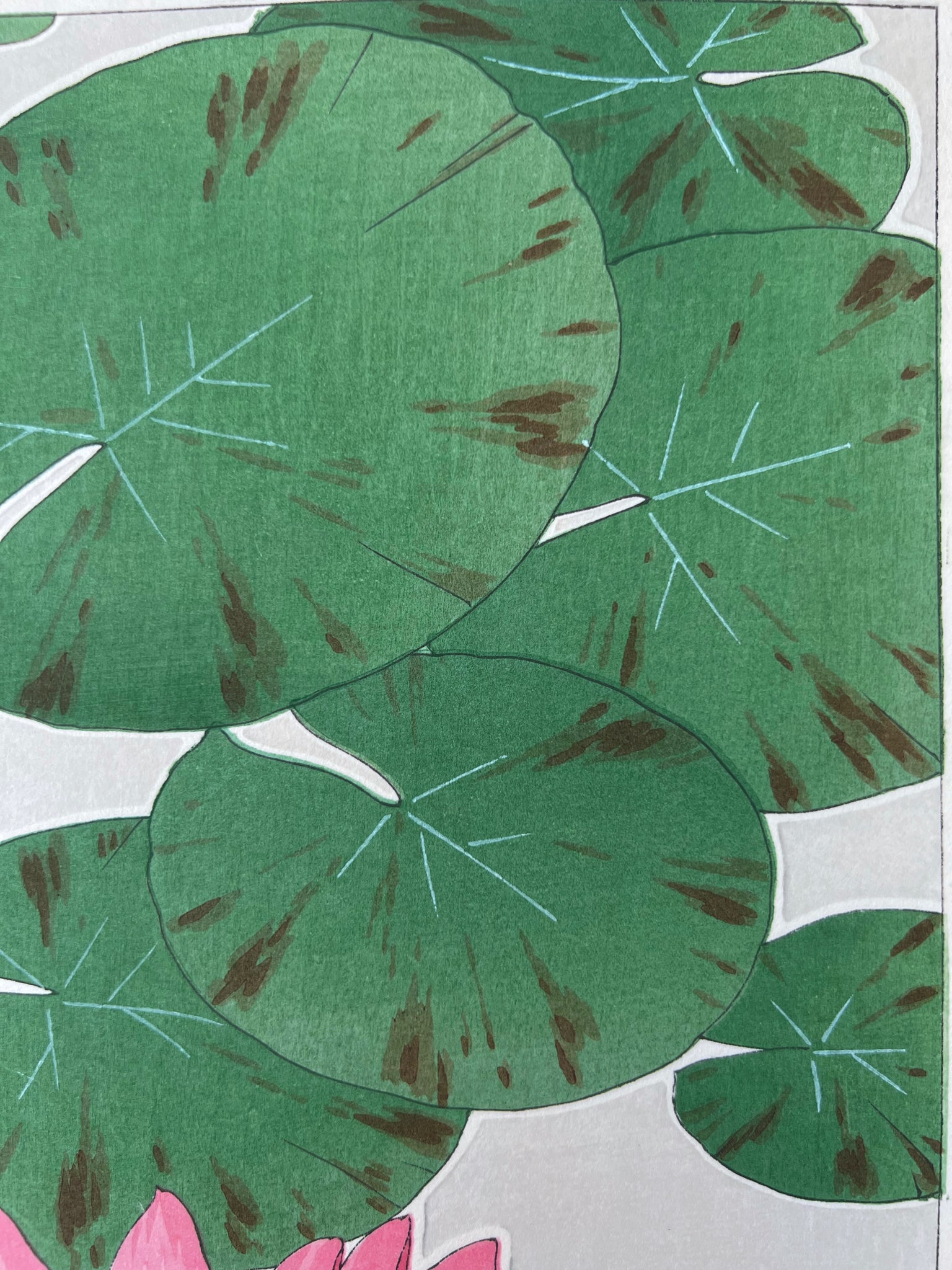 Estampe Japonaise de Kawarazaki, Nymphea feuilles larges et vertes