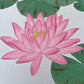 Estampe Japonaise de Kawarazaki Nymphea fleur rose éclose
