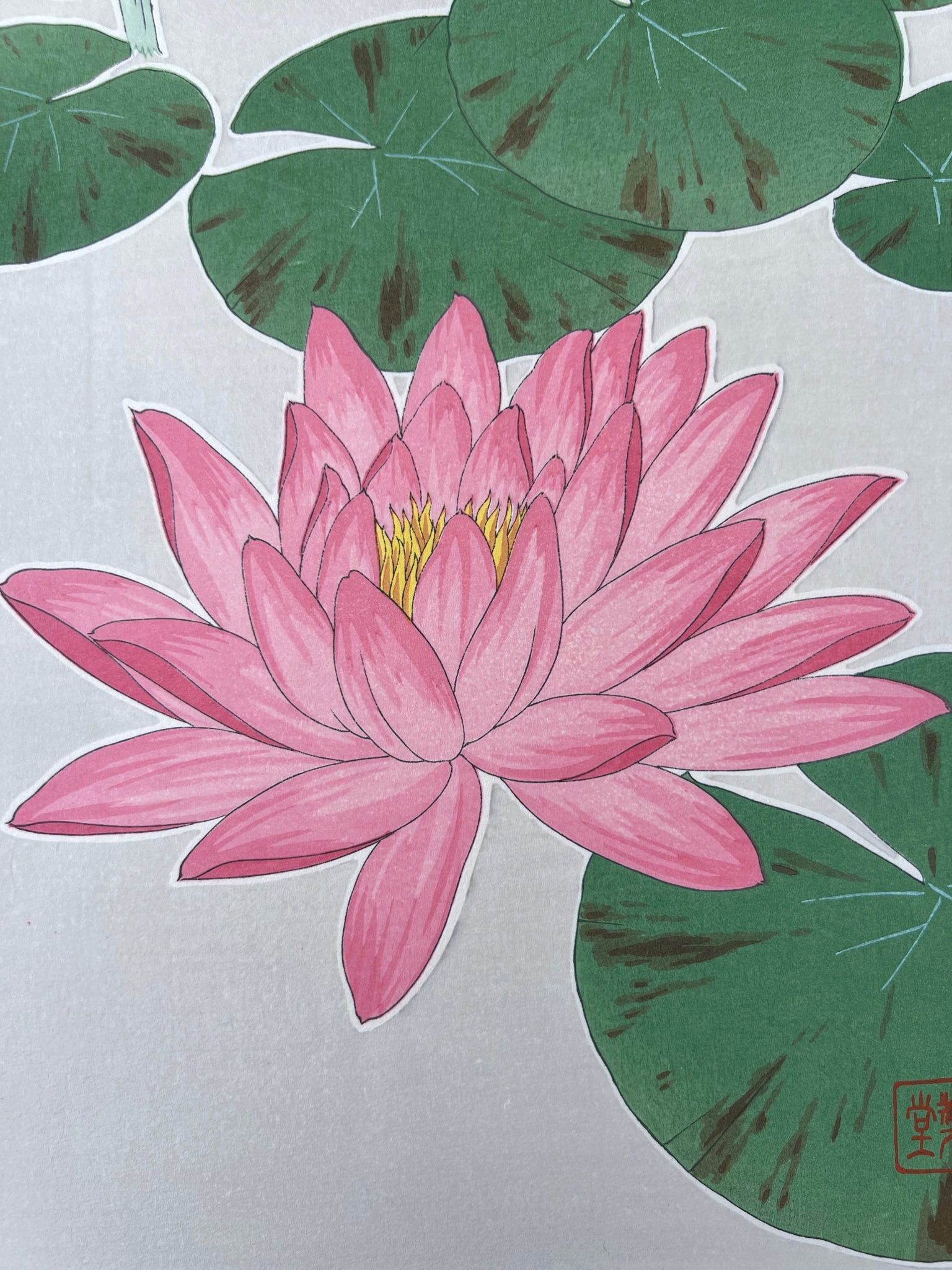 Estampe Japonaise de Kawarazaki Nymphea fleur rose éclose