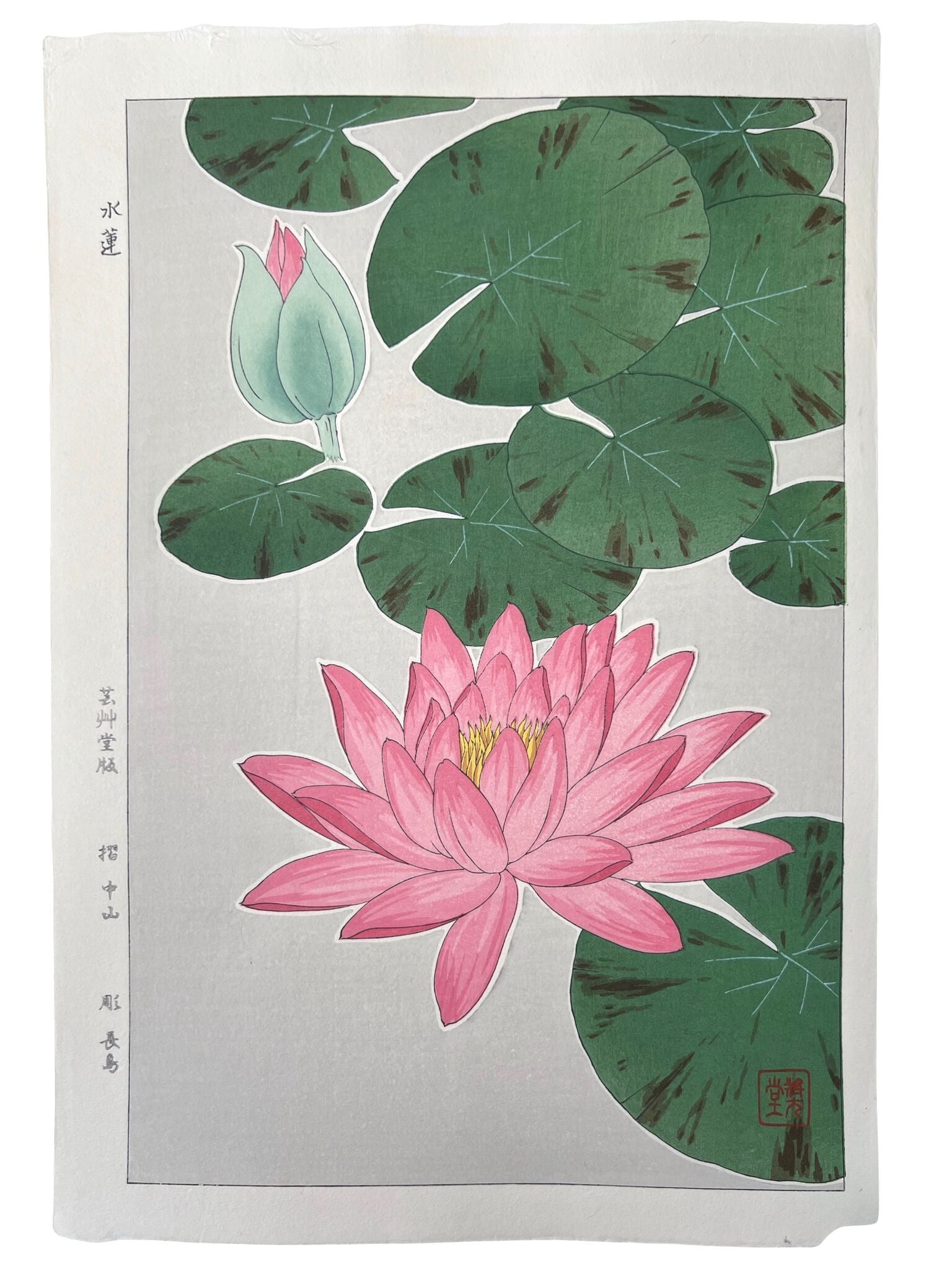 Estampe Japonaise de Kawarazaki fleur Nymphea rose