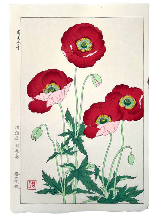 Estampe Japonaise de Kawarazaki Shodo | Pavot rouge boutons et fleurs